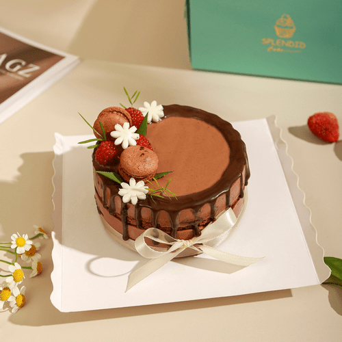 http://image.macaron.vn/mousse-chocolate-20-cm